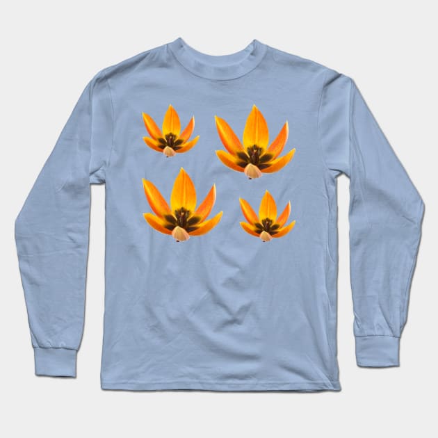 Tulips Long Sleeve T-Shirt by chrisburrows